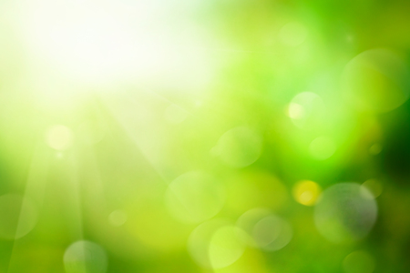 Spring foliage abstract background. Blurred backdrop with spring colorsの写真素材