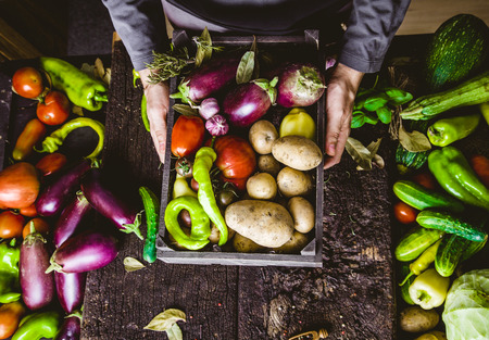 Organic vegetables. Farmers hands with freshly harvested vegetables. Fresh organic zucchini.の写真素材