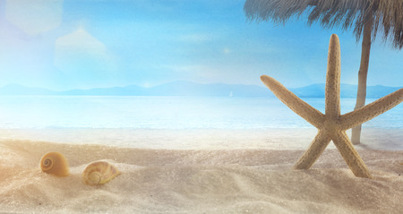 Beach summer background. Summer holidays wih star fish on sand. Sandy beachの写真素材
