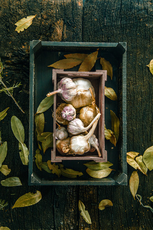 Vegetables on wood. Organic vegetables in rustic setting.Garlic on woodの写真素材