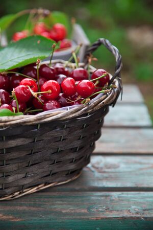 Fresh forest fruit on wood. Fresh organic fruit. Red cherries, blueberries and blackberriesの写真素材