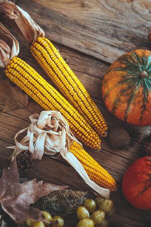 Thanksgiving day.  Autumn fruit over wood.Thanksgiving autumn backgroundの写真素材