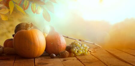 Thanksgiving day. Nature background with autumn fruit on table.の写真素材