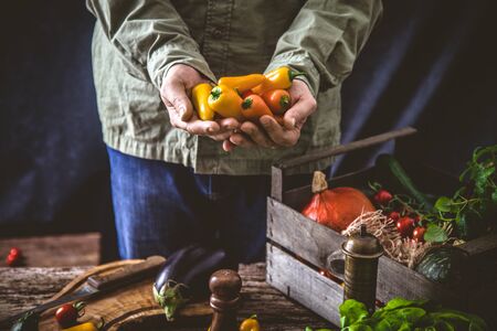 Organic vegetables on wood. Farmer holding harvested vegetables. Rustic settingの写真素材