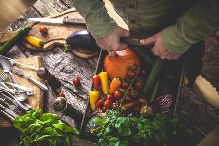 Organic vegetables on wood. Farmer holding harvested vegetables. Rustic settingの写真素材