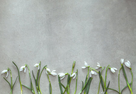 Spring background  and snowdrop flowers. Easter background. Overhead flatlay Easterの写真素材