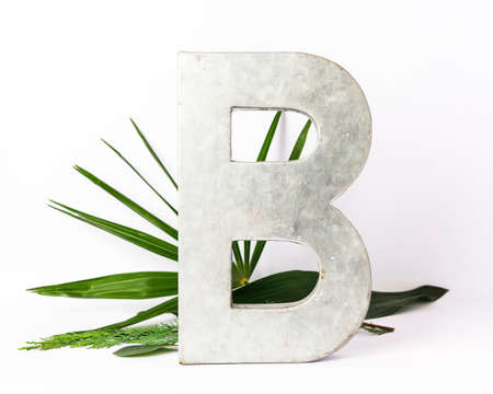 Creative horizontal layout of metallic letter B and exotic leafs on white paper backgroundの写真素材