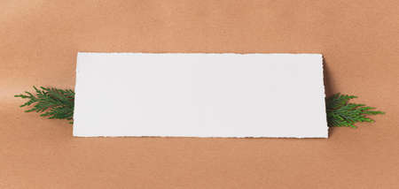 Creative horizontal layout of white textured paper and branches on light brown paper backgroundの写真素材