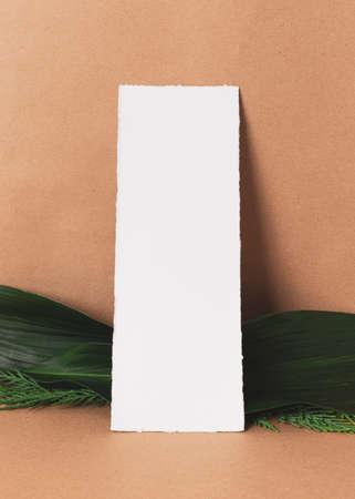 Creative vertical layout of white textured paper and exotic and branches leafs on light brown paper backgroundの写真素材
