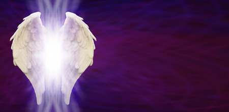 Angel Wings Banner Head on Purple Matrixの写真素材
