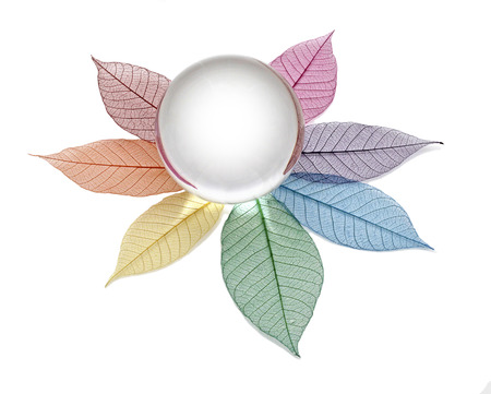Blank crystal ball on skeleton leavesの写真素材