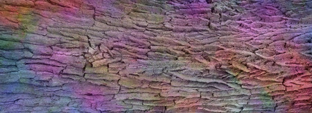 Colourful rough bark background - pink, blue, yellow, orange and green colours randomly infused into the surface of a wide very rustic flat view of natural tree barkの写真素材