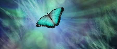 Soul Release Metaphor for departing soul - lone jade green  coloured butterfly set against a radiating feathered bokeh green and blue  coloured backgroundの写真素材