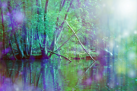 Romantic Riverside Nature Wall Art   - beautiful purple and vivid green river side scene with light and bokeh effectsの写真素材