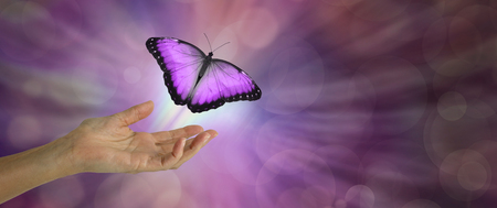 Spirit Release depicted by a magenta Butterfly taking flight - female hand with open palm and a large magenta pink butterfly rising up and away against a purple bokeh background and copy spaceの写真素材