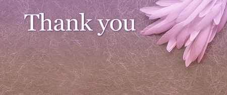 Angelic Thank You Pink Feather header Background - random pile of thin white feathers placed in the top right corner beside the words THANK YOU against a rustic swirly hand made paper background with copy spaceの写真素材