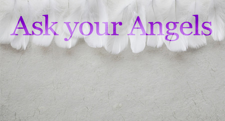 Ask Your Angels White Feather header Background  - a random row of white feathers placed side by side against a pale rustic swirly hand made paper background with copy space beneathの写真素材