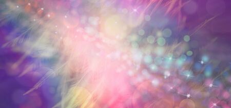 Rainbow Feather Christmas Celebration  Message banner -  random glittering sparkles against a...
