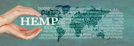 Words associated with the benefits of HEMP - female hands cupped around the word HEMP beside a...