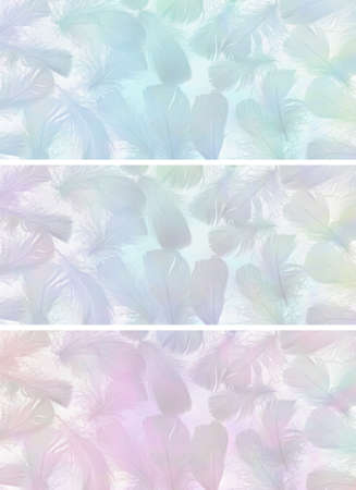Three different delicate feather background banners - random scattered small feathers in blue, pink, green ideal for holistic spiritual gift vouchers, coupons, advert templatesの写真素材