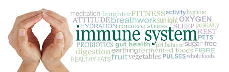 Protect your Immune System Word Cloud -  female hands cupped with fingertips touch beside a jade green IMMUNE SYSTEM word cloud on a  white backgroundの写真素材