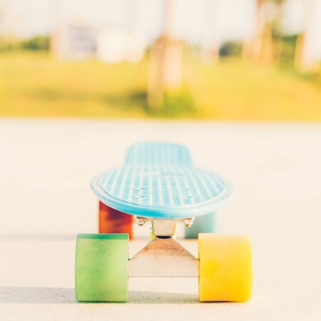 blue shortboard penny board with multicolored wheels stands on the track near the palm trees