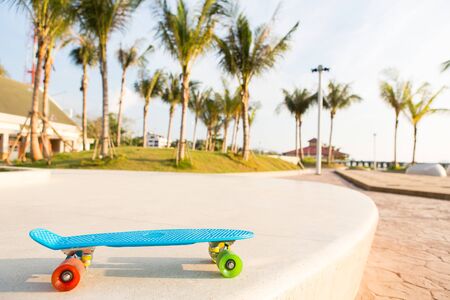 blue pennyboard with multicolored wheels stands on the track in front of the palm treesの写真素材