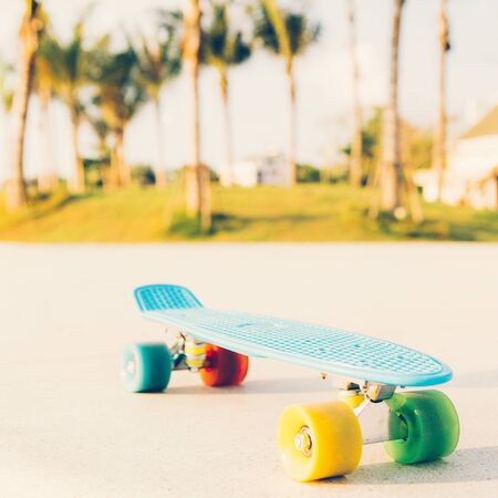 blue shortboard penny board with multicolored wheels stands on the track near the palm treesの写真素材