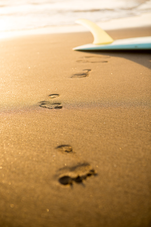 Footprints of young surfer woman in sexy bikini near surfing longboard to camera at sunset ocean beach. Modern family lifestyle, people water sport adventure camp and extreme swim on summer vacation.の写真素材
