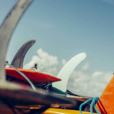 Lot of single fin surfing longboard with surf leash ready for rent. Have fun on big waves in open ocean. Modern family lifestyle, people water sport adventure camp and extreme swim on summer vacation.の写真素材