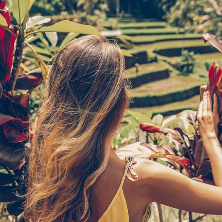 Beautiful young woman in vogue dress look over green fence. Girl travel typical Asian hillside with rice farming, mountain shape green cascade rice field terraces paddies. Ubud, Bali, Indonesia.の写真素材