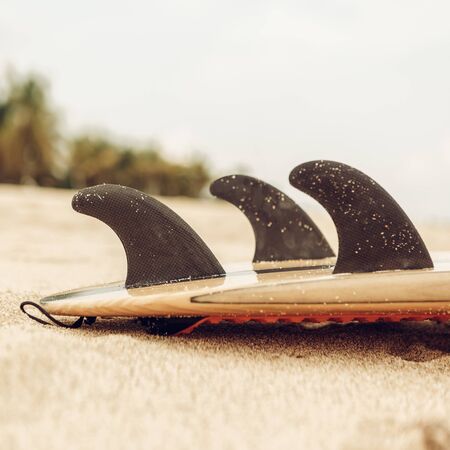 Close up view of a carbon fiber fins on a design wooden surf shortboard surfboard board at sunrise or sunset on sand beach with palm tree. Vacation concept. Summer holidays. Tourism, sport.の写真素材