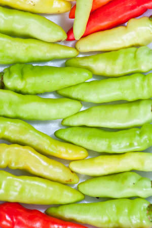  pepper  on a white background の写真素材