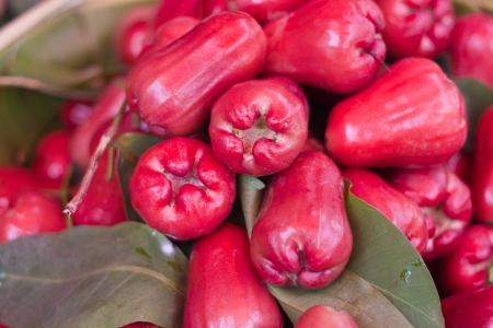 Rose applesの写真素材