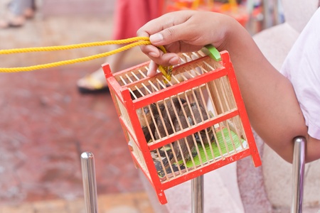 BANGKOK,Chinatown/THAILAND-February 10:Chinese New Year traditions Chinese New Year Celebrations on February 10, 2013 in BANGKOK のeditorial素材