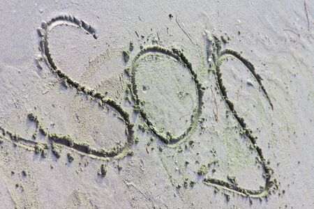 The inscription on the sand