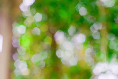 bokeh blurred out of focus backgroundの写真素材