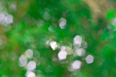 bokeh blurred out of focus backgroundの写真素材