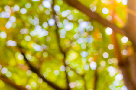 bokeh blurred out of focus background の写真素材