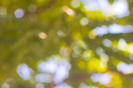 bokeh blurred out of focus backgroundの写真素材
