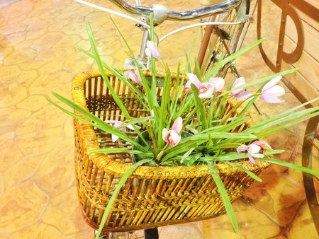 Autumn flowers of different colors  Floral background の写真素材