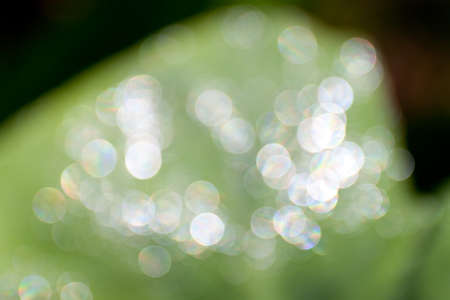 bokeh blurred out of focus background 