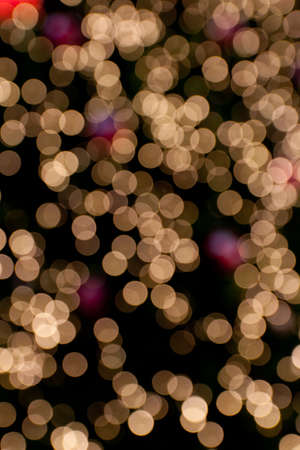 bokeh blurred out of focus background Christmas fir tree