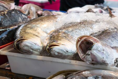 seafood market in thailandの写真素材