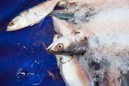 seafood market in thailandの写真素材