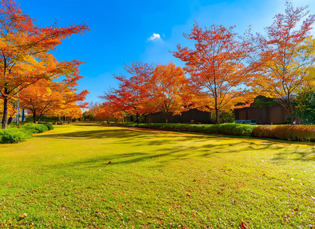 Beautiful autumn landscape in the park with colorful trees and green grassの素材