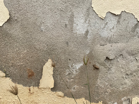 grungy wall Sandstone surface background, Great textures for your designの写真素材