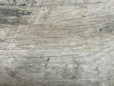Old wood texture background. Floor surface with old natural pattern or old wood texture background. Vintage timber texture background.の写真素材