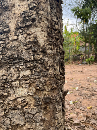 Tree bark texture. Tree bark texture. Tree bark background. Tree bark texture. Tree bark background. Tree bark texture. Tree bark background.の写真素材