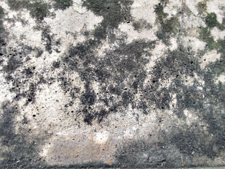 Old grunge cement wall texture. Abstract background and texture for design.の写真素材